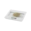 OBH Nordica Kitchen Scale, Pure White